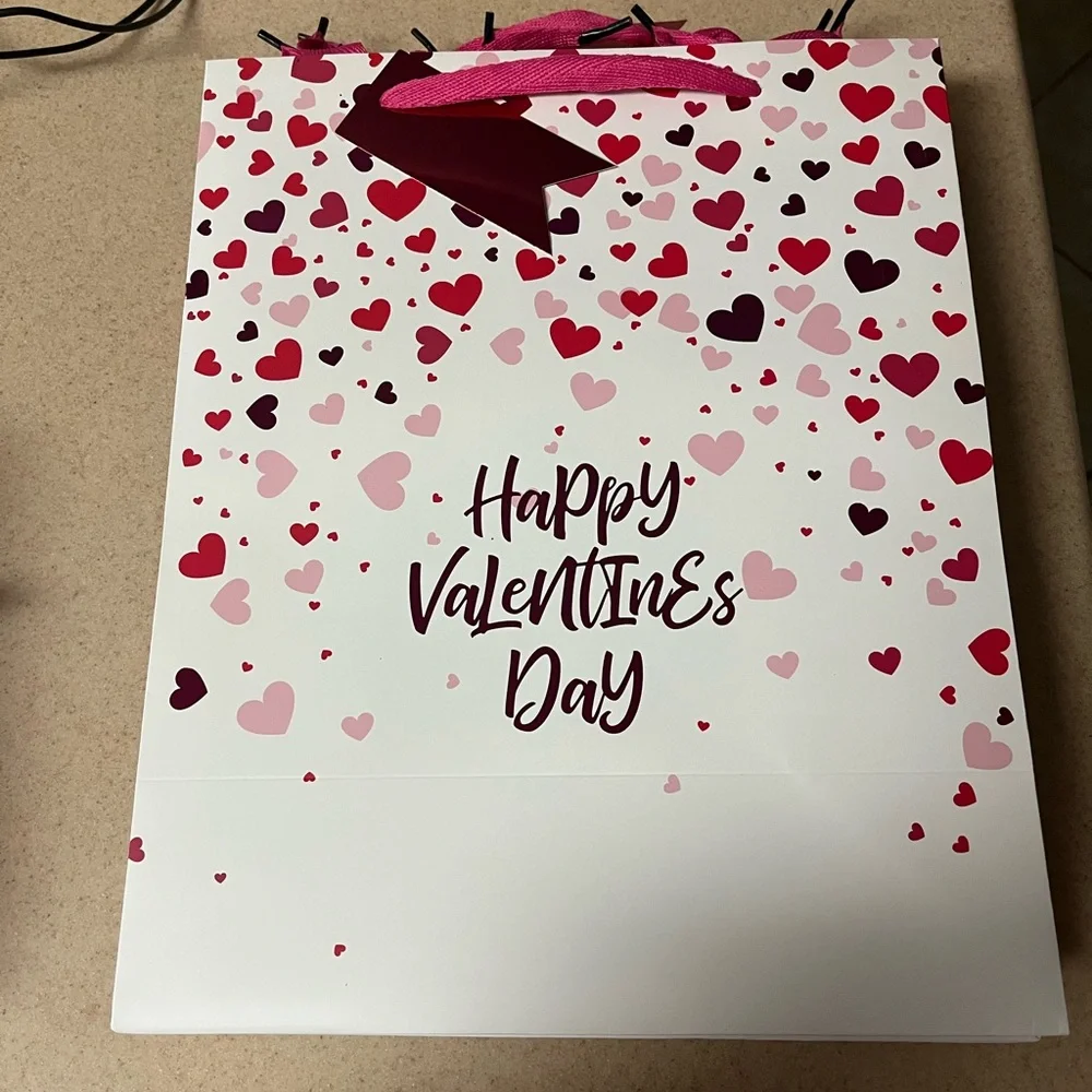 Happy Valentine’s Day Heart Hearts Party Favor Gift Bag Bundle Lot Pink Red
